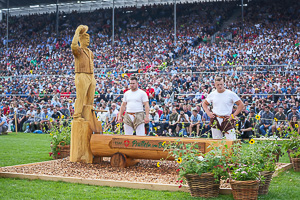 ESAF_1530.jpg